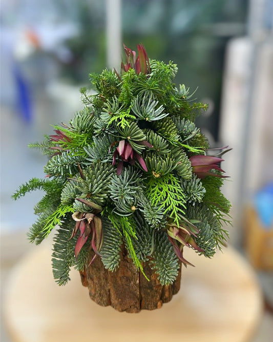 手工松枝聖誕樹 Woodland Muse